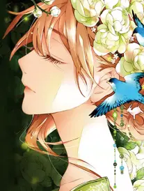 纸鸢骑士 漫画改编剧在线观看